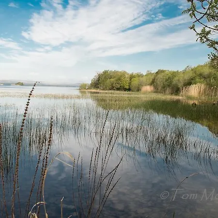 Willowbrook Nenagh