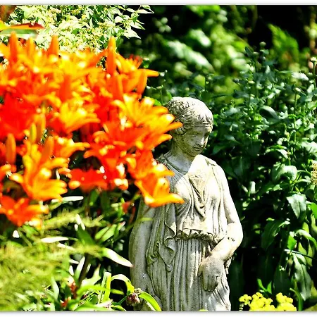 Bed & Breakfast Willowbrook Nenagh