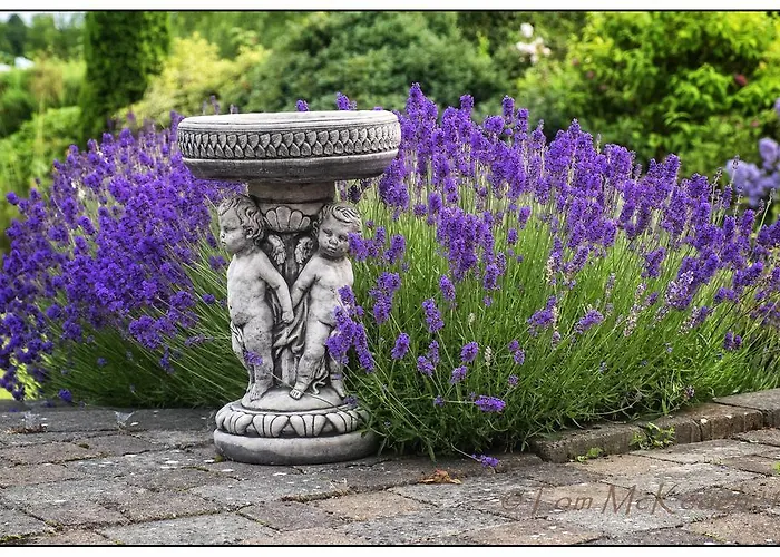 B&B Willowbrook 니나